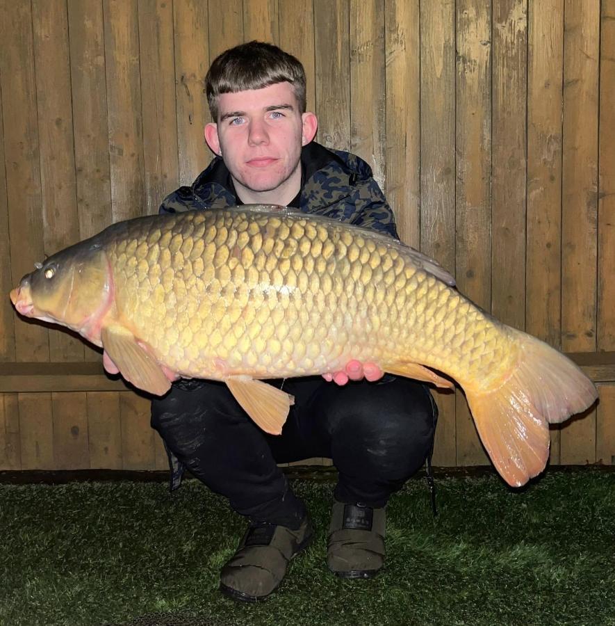 Balmoral Studio Lodge Ellesmere Zewnętrze zdjęcie